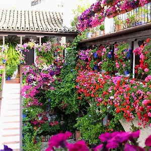 https://puerta-a-la-mezquita.es-andalucia.com